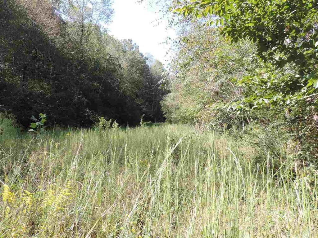 540 North Horseshoe Bridge Road Westminster, SC 29693 - Photo 6 of 26 Gallery Image 6