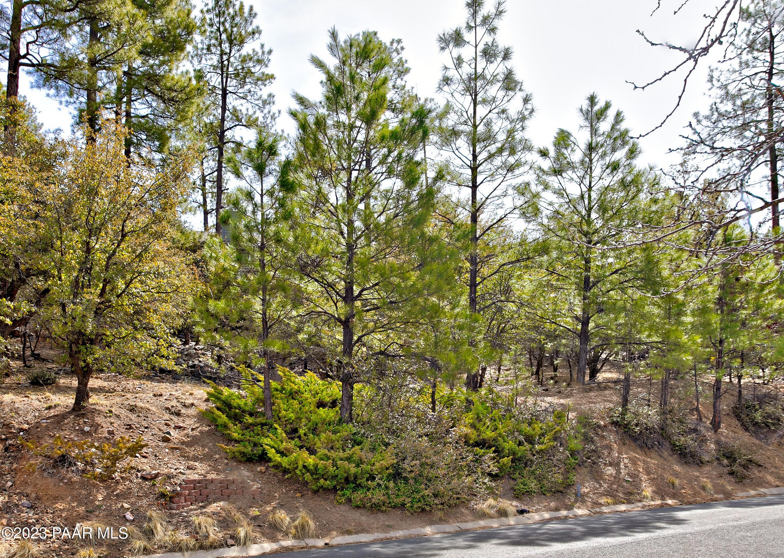 1469 Coyote Road Prescott, AZ 86303 - Photo 3 of 17 003_Front View