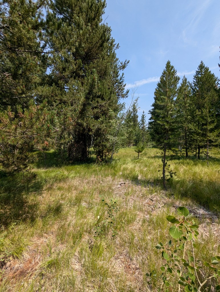32 Thunderbolt Place, Unit 79 McCall, ID 83638 - Photo 5 of 12