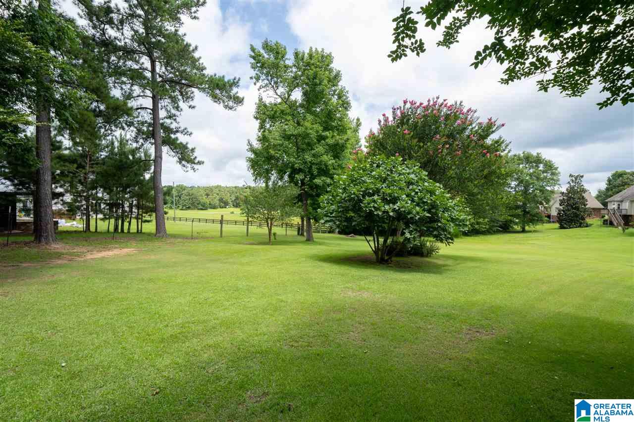 8289 Serene Lake Road McCalla, AL 35111 - Photo 36 of 36