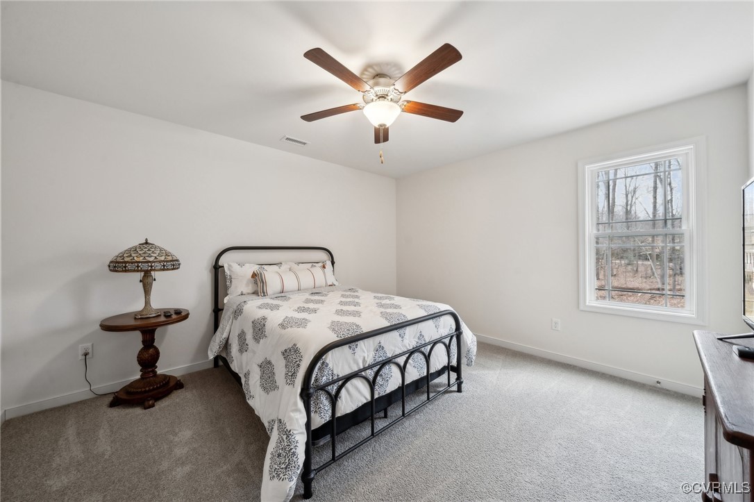 4346 Three Bridge Road Powhatan, VA 23139 - Photo 23 of 44 Gallery Image 23