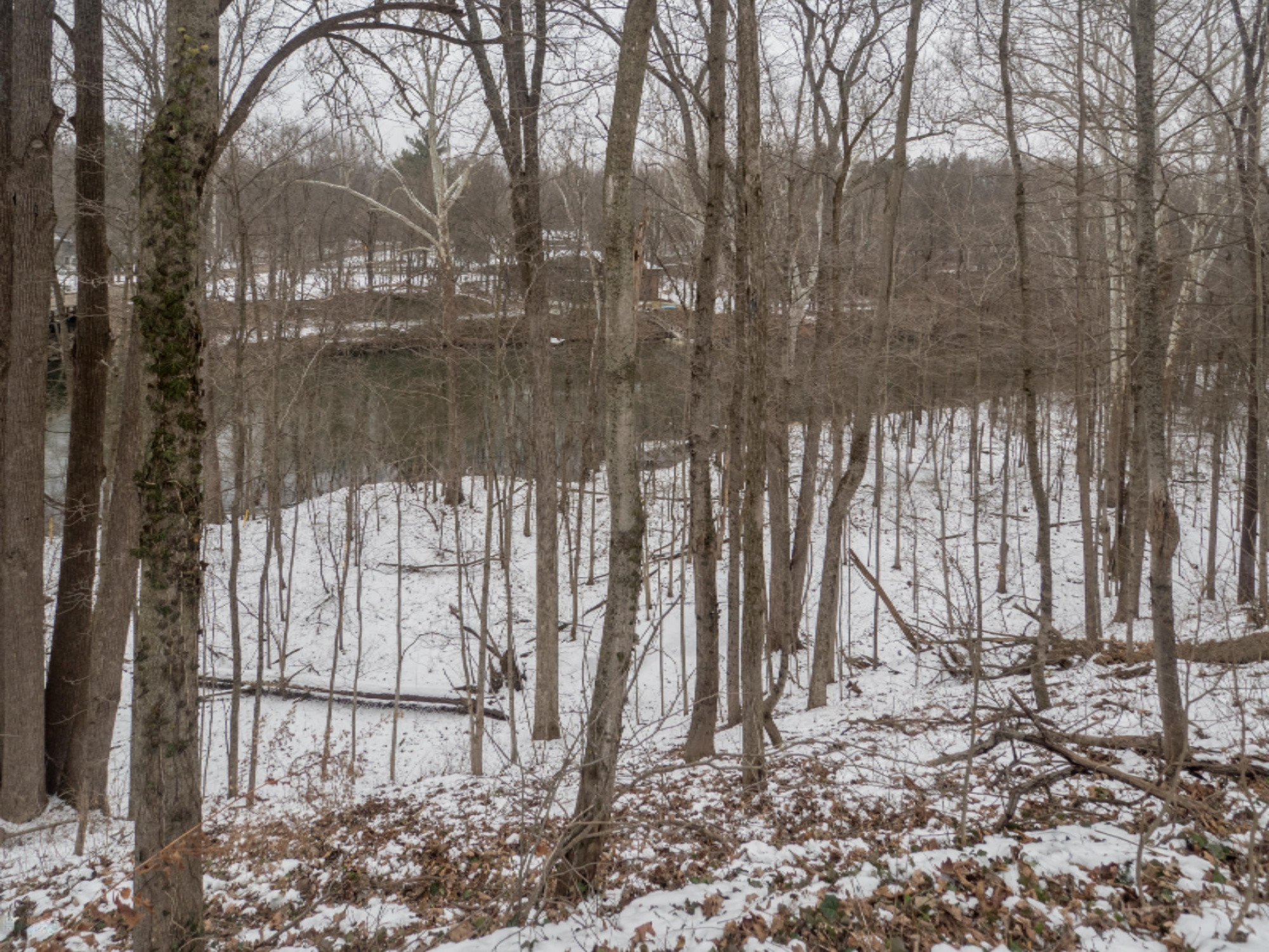 1157 Williams Bridge Road Allegan, MI 49010 - Photo 7 of 9 1157 Williams Bridge Road, Allegan-107