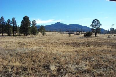 1 North Arpt Road Williams, AZ 86046 - Photo 3 of 3 Additional Photo