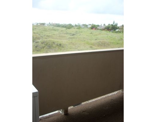 14409 East Cabana Street Corpus Christi, TX 78418 - Photo 4 of 4 a view of a forest from a window