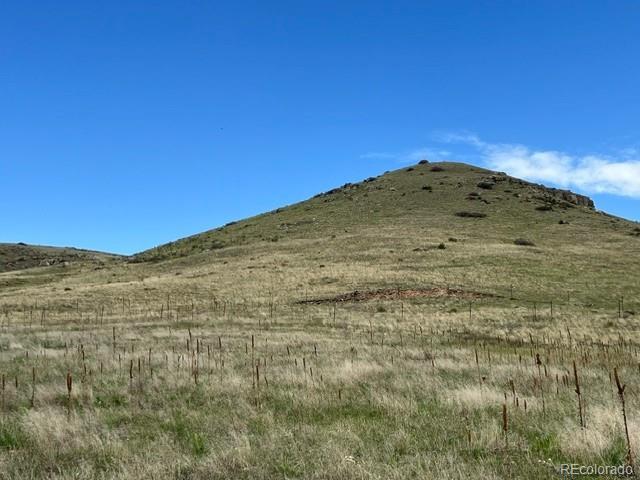 11977 Haskell Creek Road Larkspur, CO 80118 - Photo 19 of 29