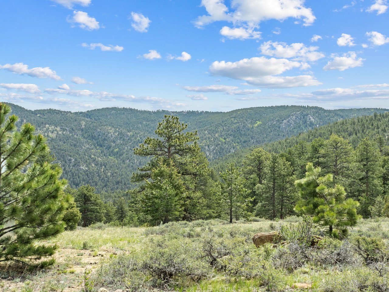 1825 Soul Shine Road Drake, CO 80515 - Photo 13 of 34 Looking East