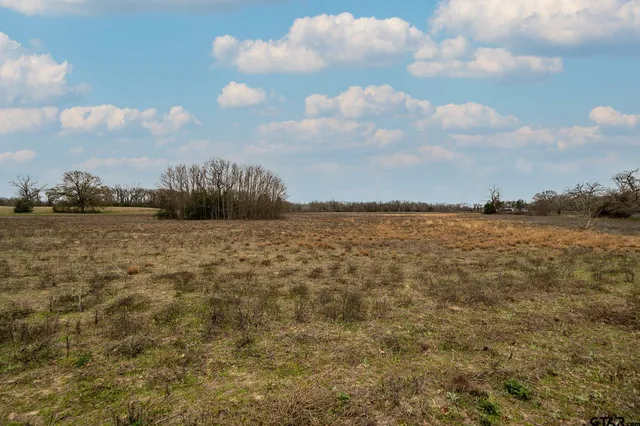 $400,000 | 4903 County Road 4903, Athens, TX 75751