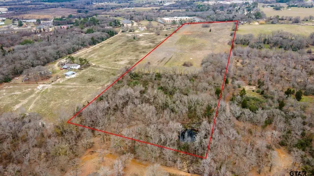 a view of outdoor space and tree