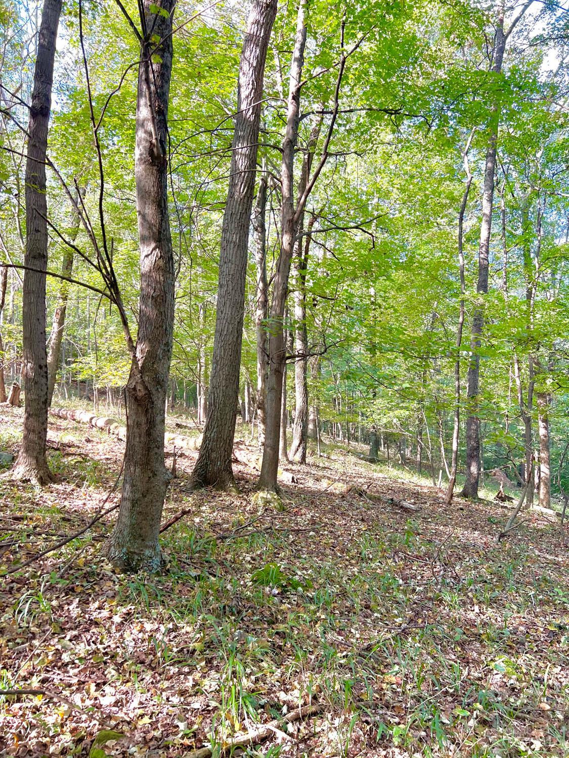 0 South Chenoweth Fork Road Piketon, OH 45661 - Photo 31 of 95