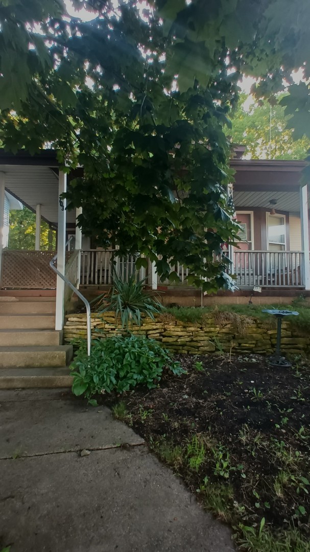 703 South Randolph Street Champaign, IL 61820 - Photo 3 of 4