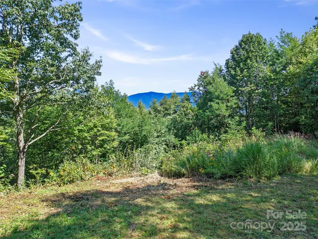 $117,000 | 4.8-acres Mountain Lily Ridge Drive, Swannanoa, NC 28778