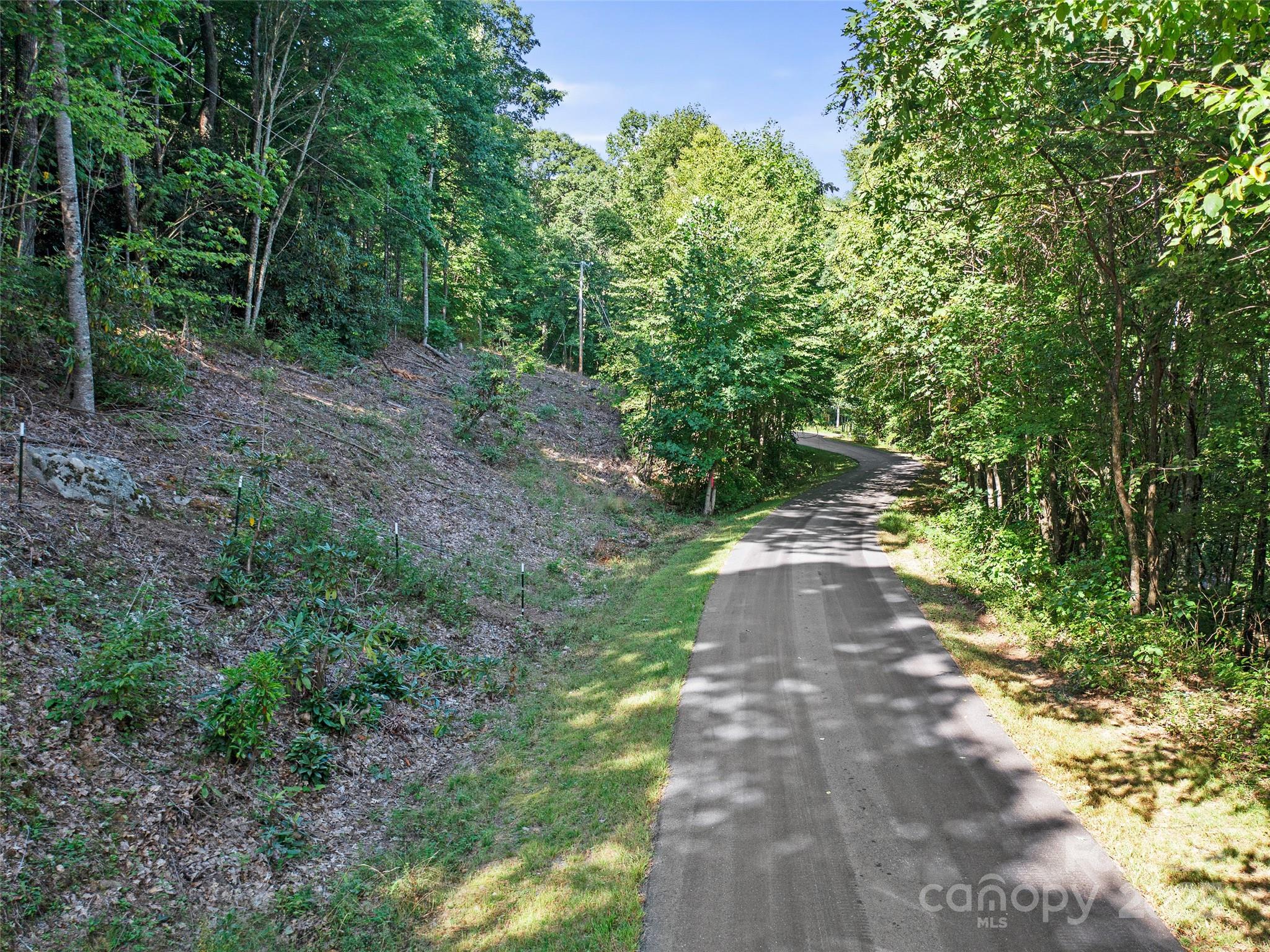 4.8-acres Mountain Lily Ridge Drive Swannanoa, NC 28778 - Photo 11 of 21