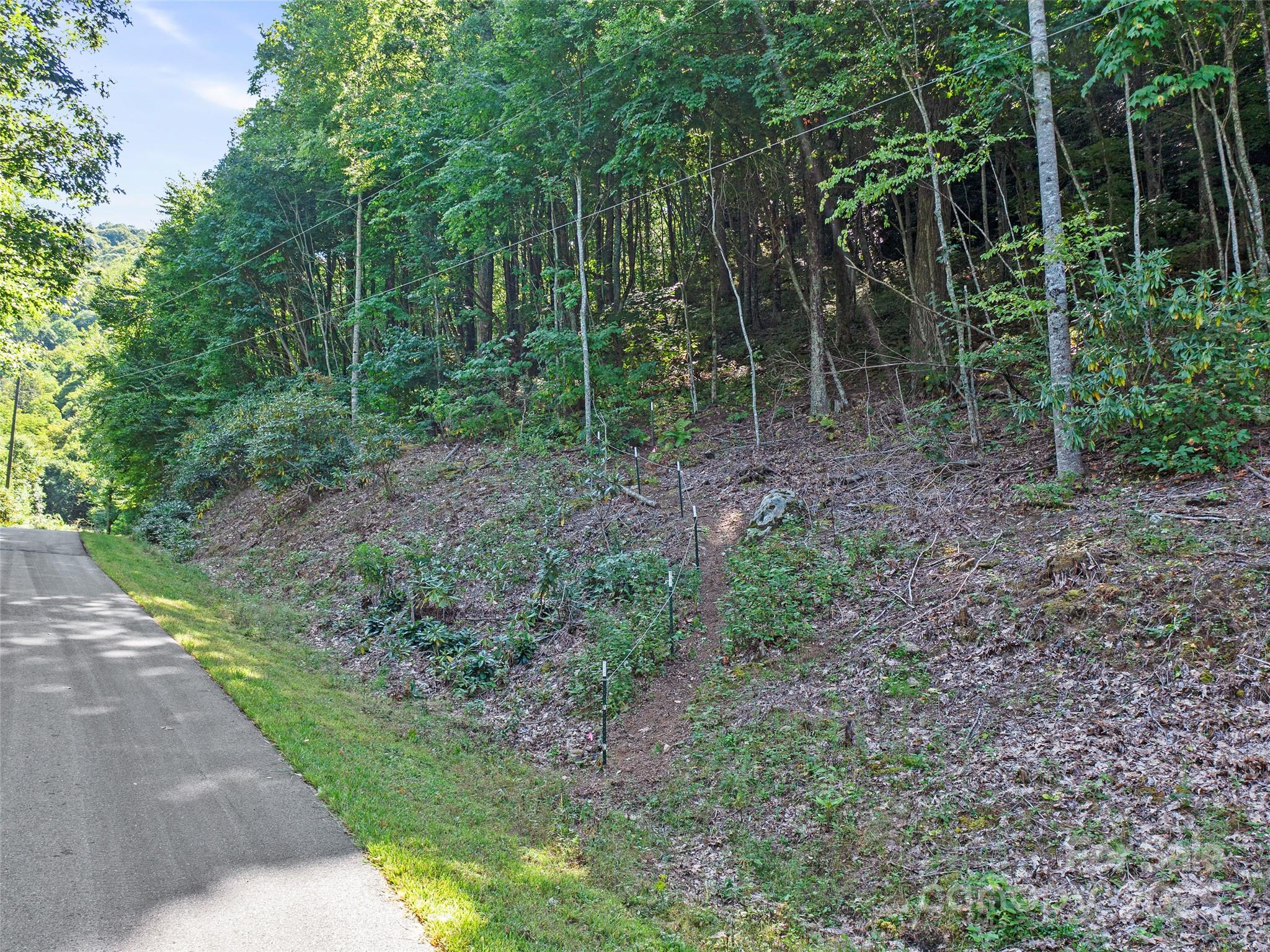 4.8-acres Mountain Lily Ridge Drive Swannanoa, NC 28778 - Photo 12 of 21