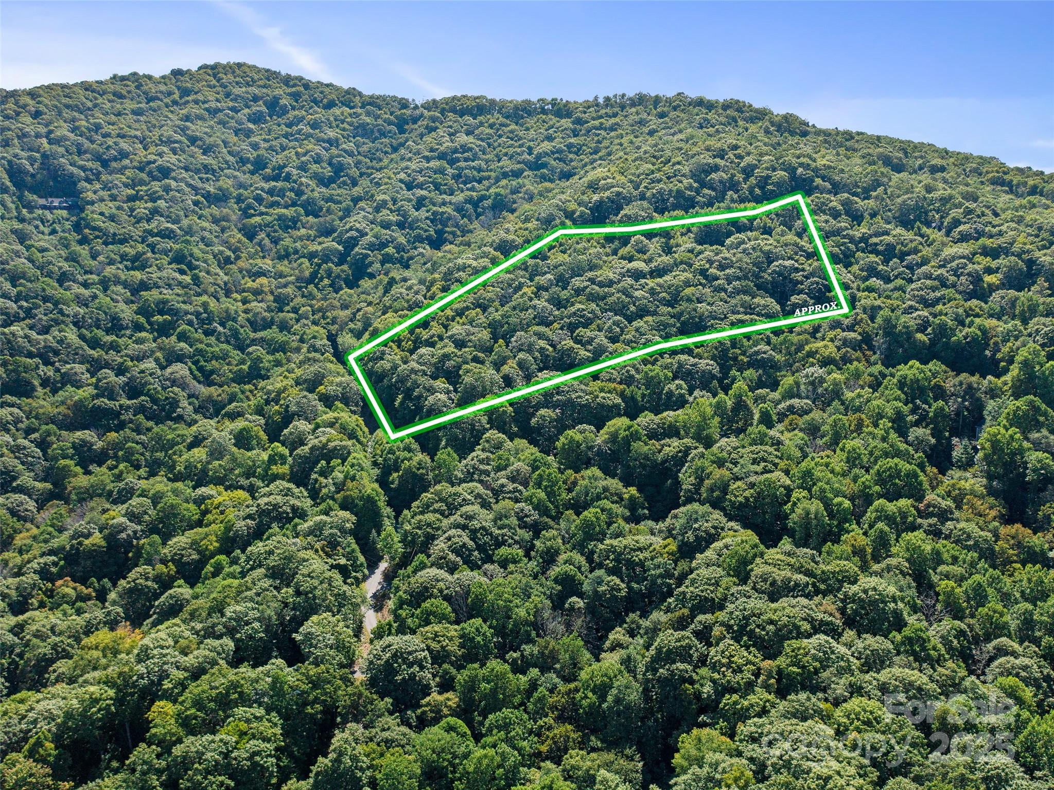4.8-acres Mountain Lily Ridge Drive Swannanoa, NC 28778 - Photo 14 of 21