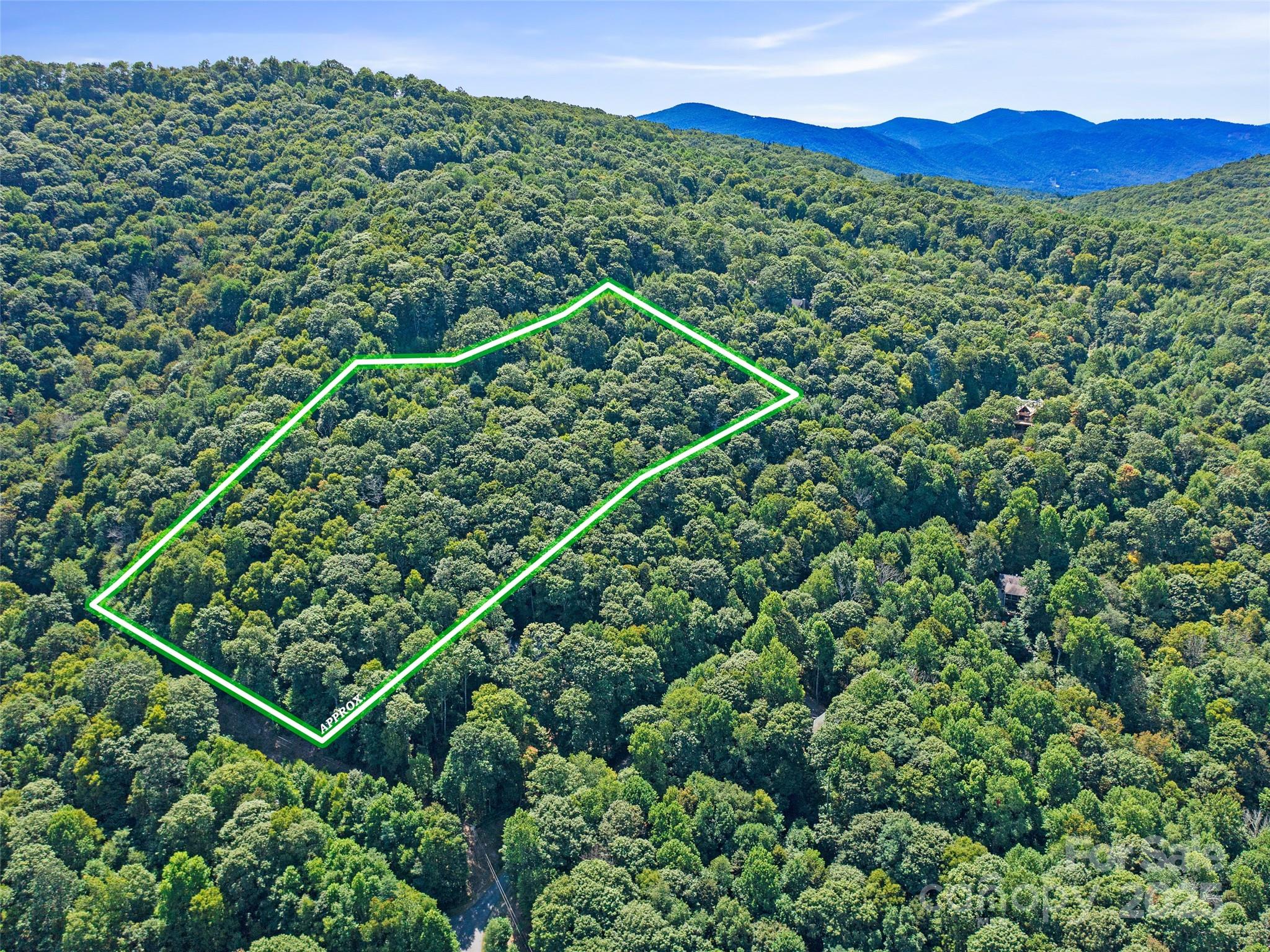 4.8-acres Mountain Lily Ridge Drive Swannanoa, NC 28778 - Photo 16 of 21