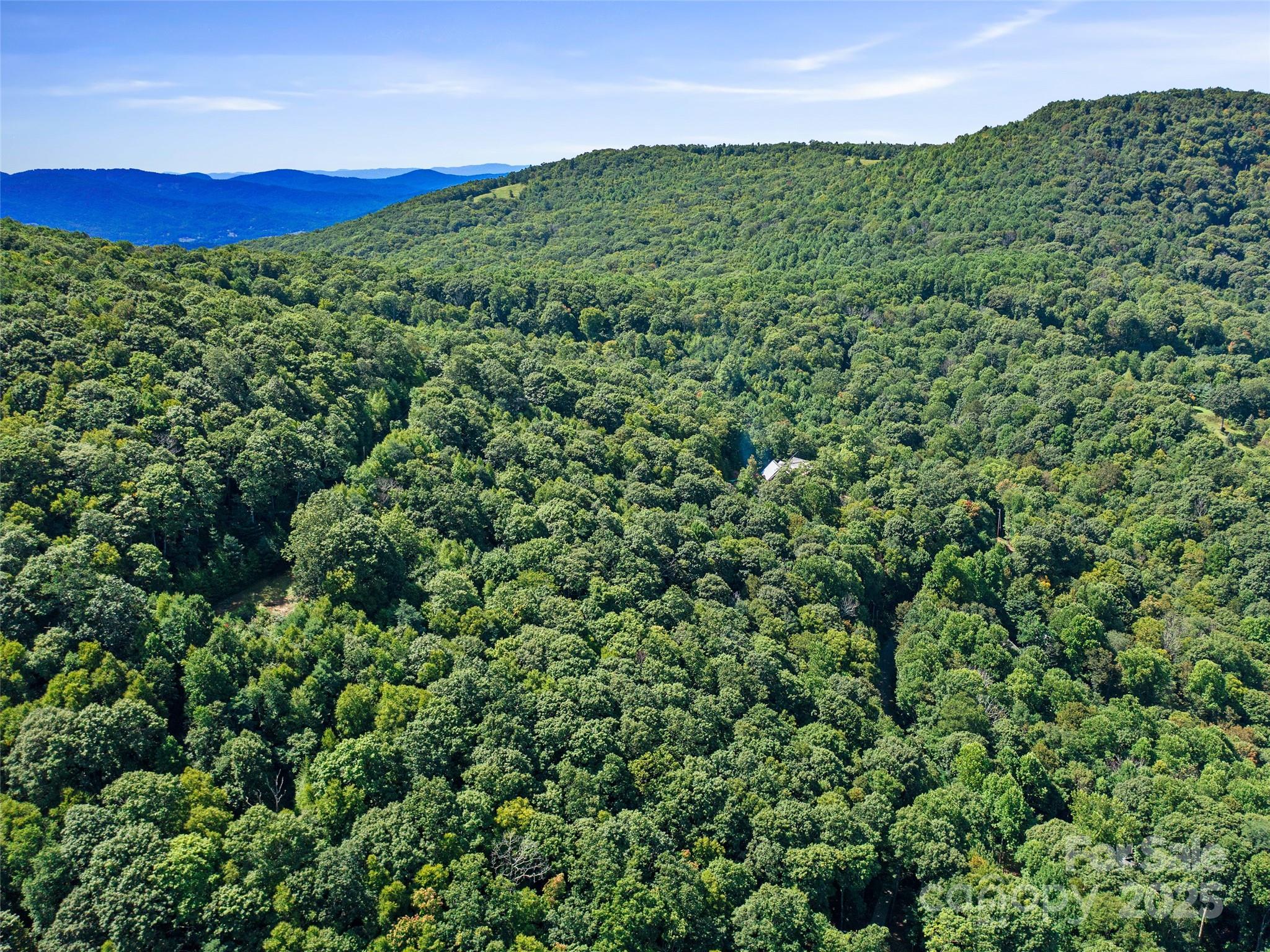 4.8-acres Mountain Lily Ridge Drive Swannanoa, NC 28778 - Photo 18 of 21