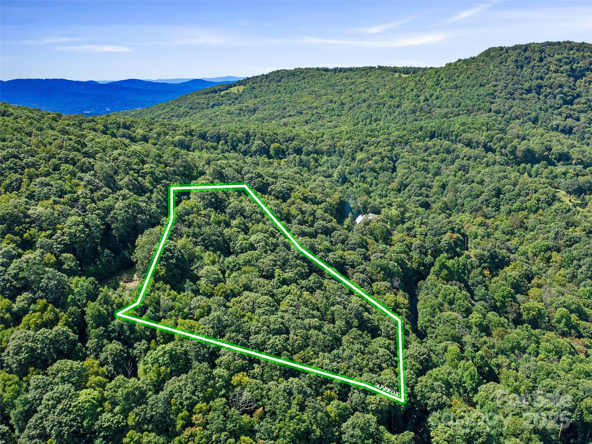 4.8-acres Mountain Lily Ridge Drive Swannanoa, NC 28778 - Photo 19 of 21