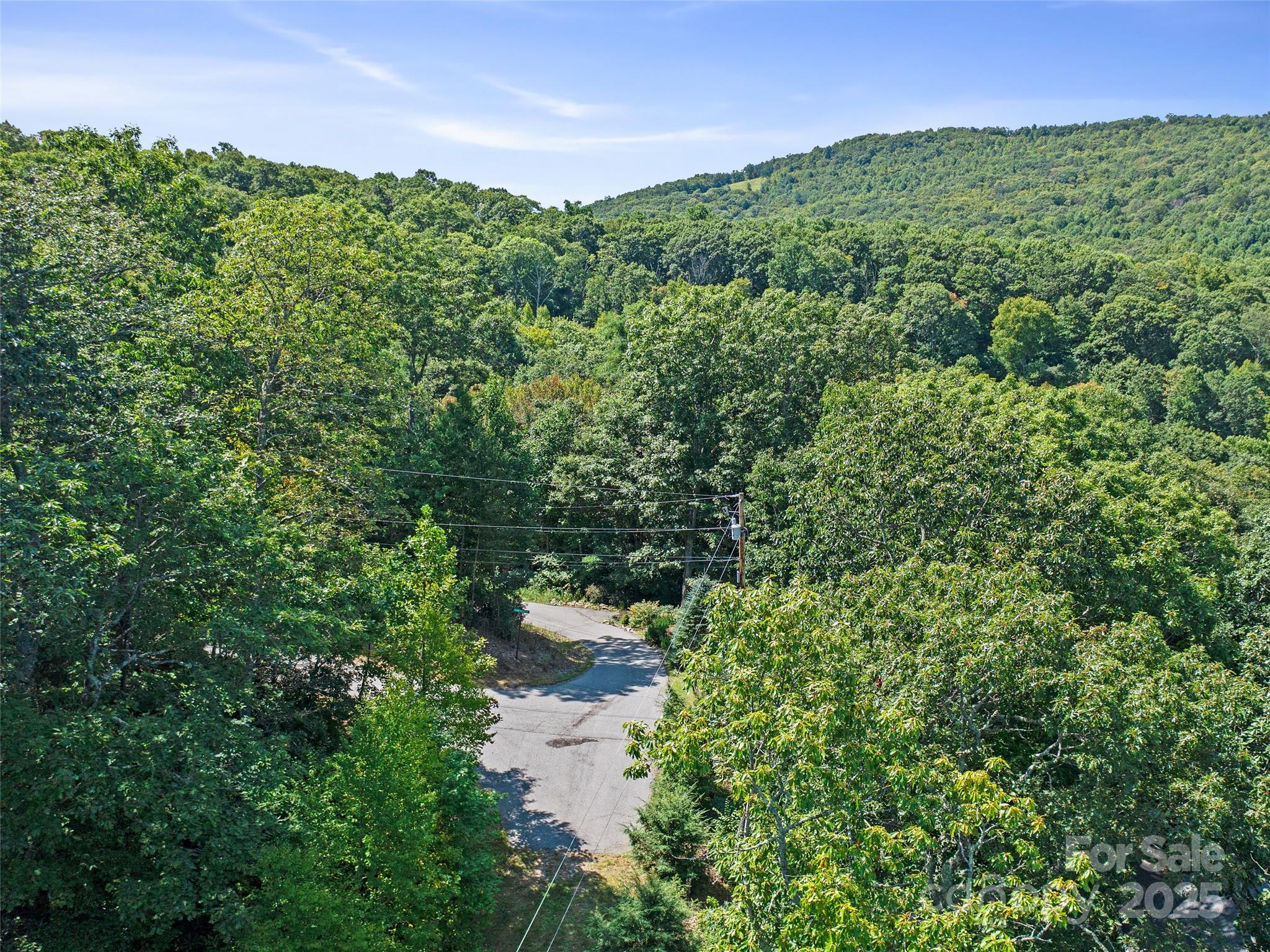 4.8-acres Mountain Lily Ridge Drive Swannanoa, NC 28778 - Photo 20 of 21