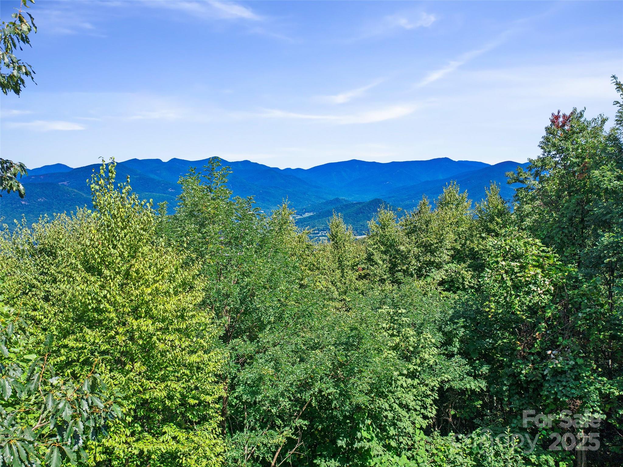 4.8-acres Mountain Lily Ridge Drive Swannanoa, NC 28778 - Photo 4 of 21
