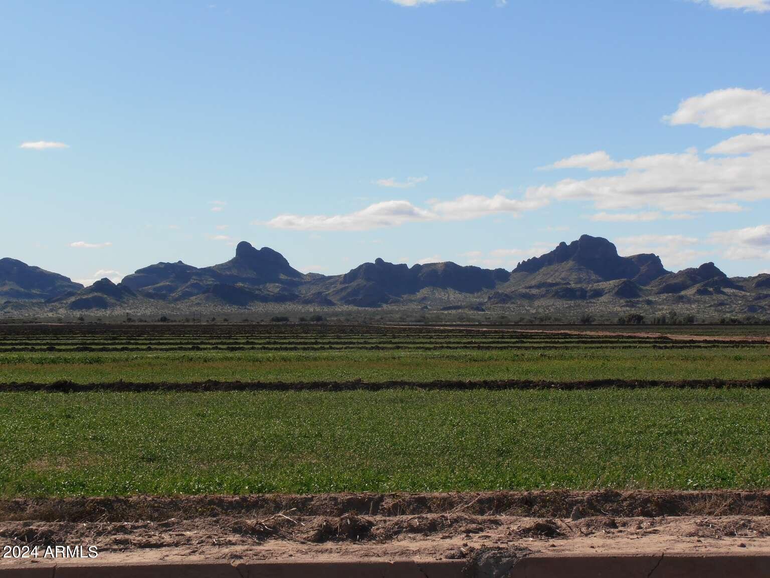29490 South Overfield Road Eloy, AZ 85131 - Photo 1 of 21 Bragg.1