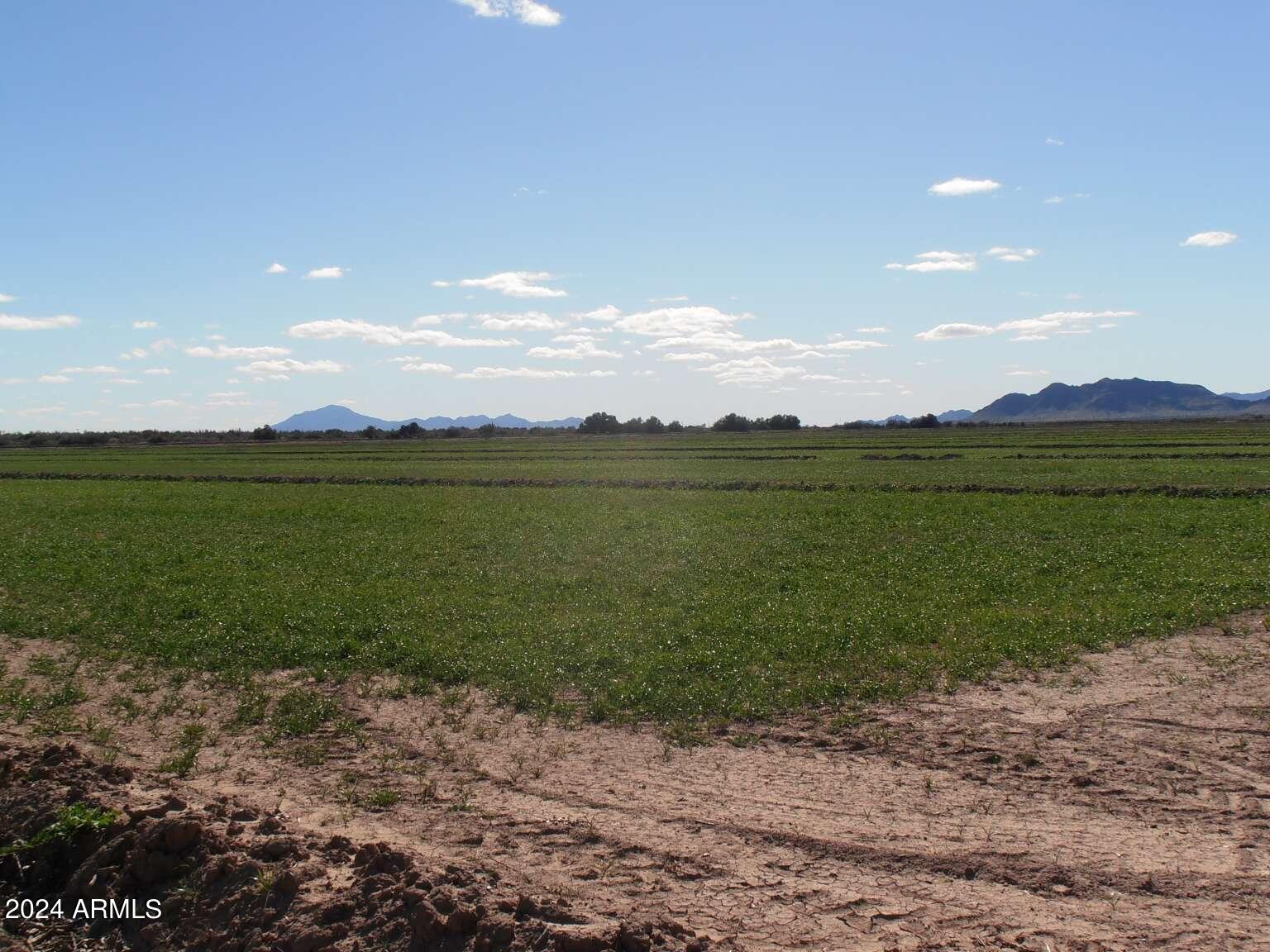 29490 South Overfield Road Eloy, AZ 85131 - Photo 20 of 21 Bragg.20