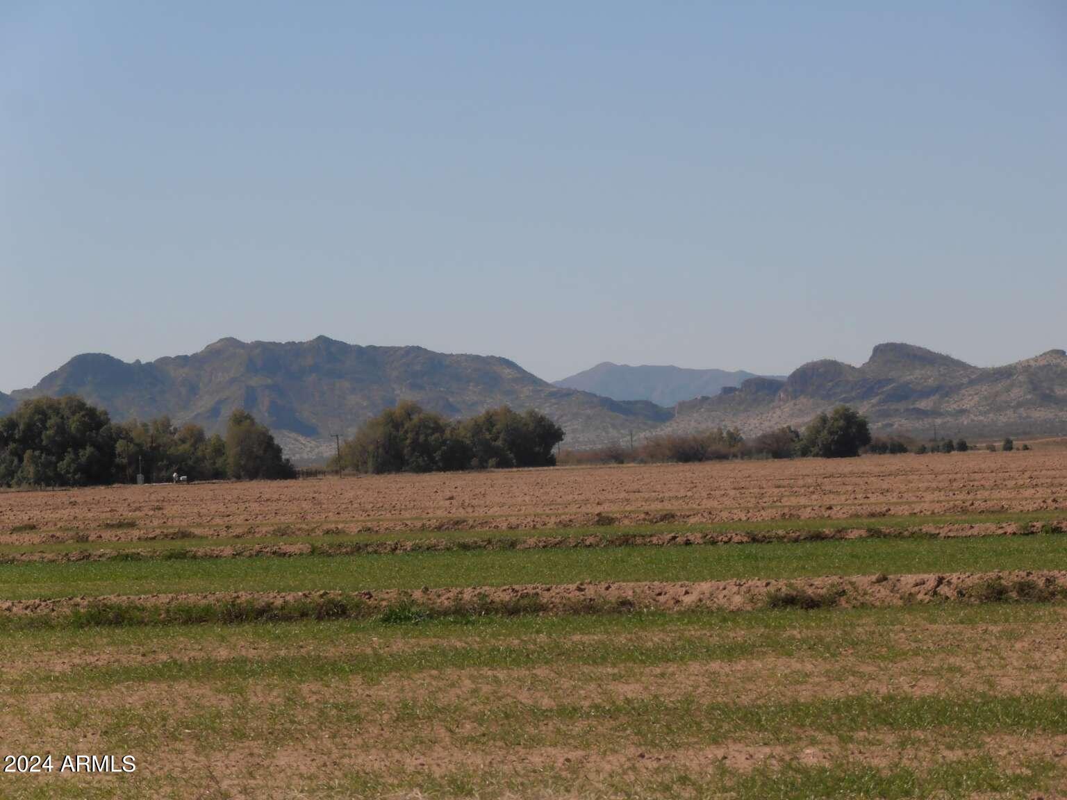 29490 South Overfield Road Eloy, AZ 85131 - Photo 21 of 21 Bragg.21