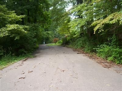 57166 Stoldt Road Three Rivers, MI 49093 - Photo 12 of 12 Additional Photo