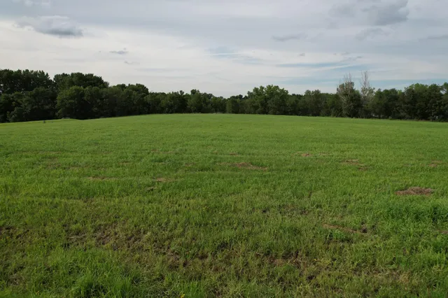 $98,900 | Tbd Lake Shore Drive, Sherburn, MN 56171