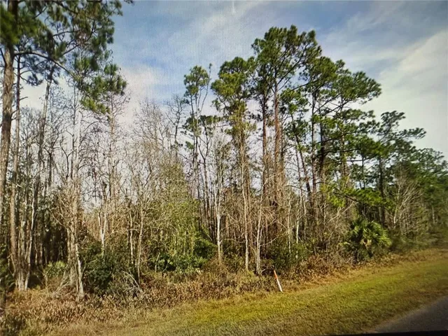 $225,000 | 20617 East Colonial Drive, Christmas, FL 32709