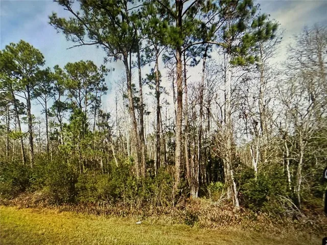 $225,000 | 20617 East Colonial Drive, Christmas, FL 32709