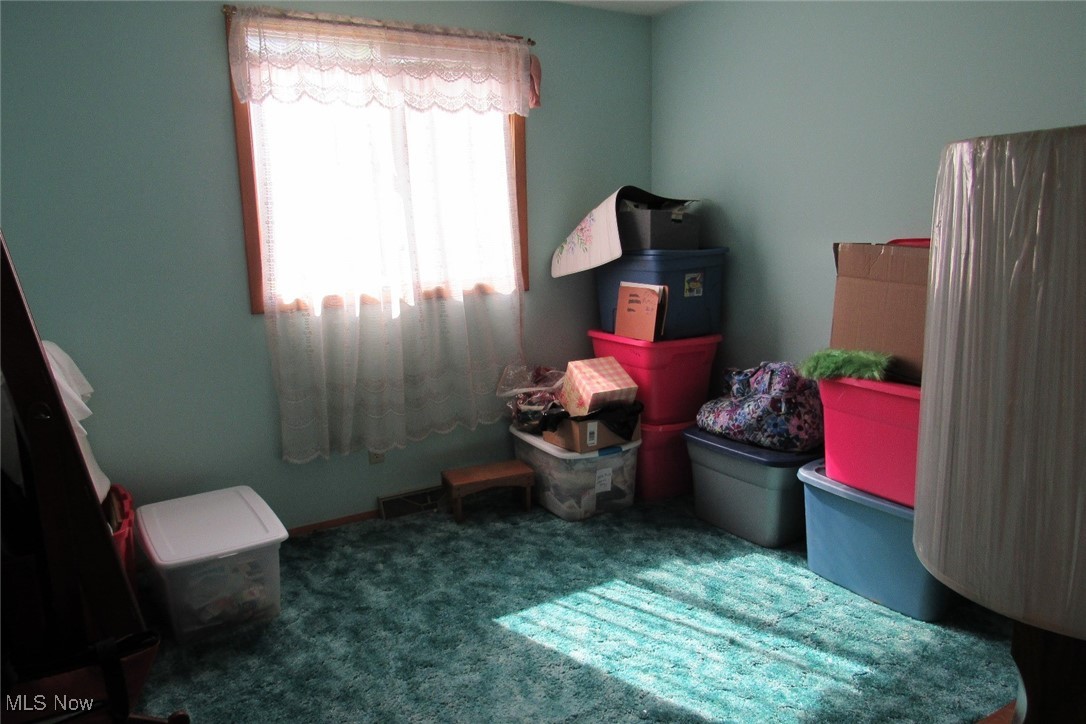 1630 North County Line Road Geneva, OH 44041 - Photo 17 of 27 Gallery Image 17
