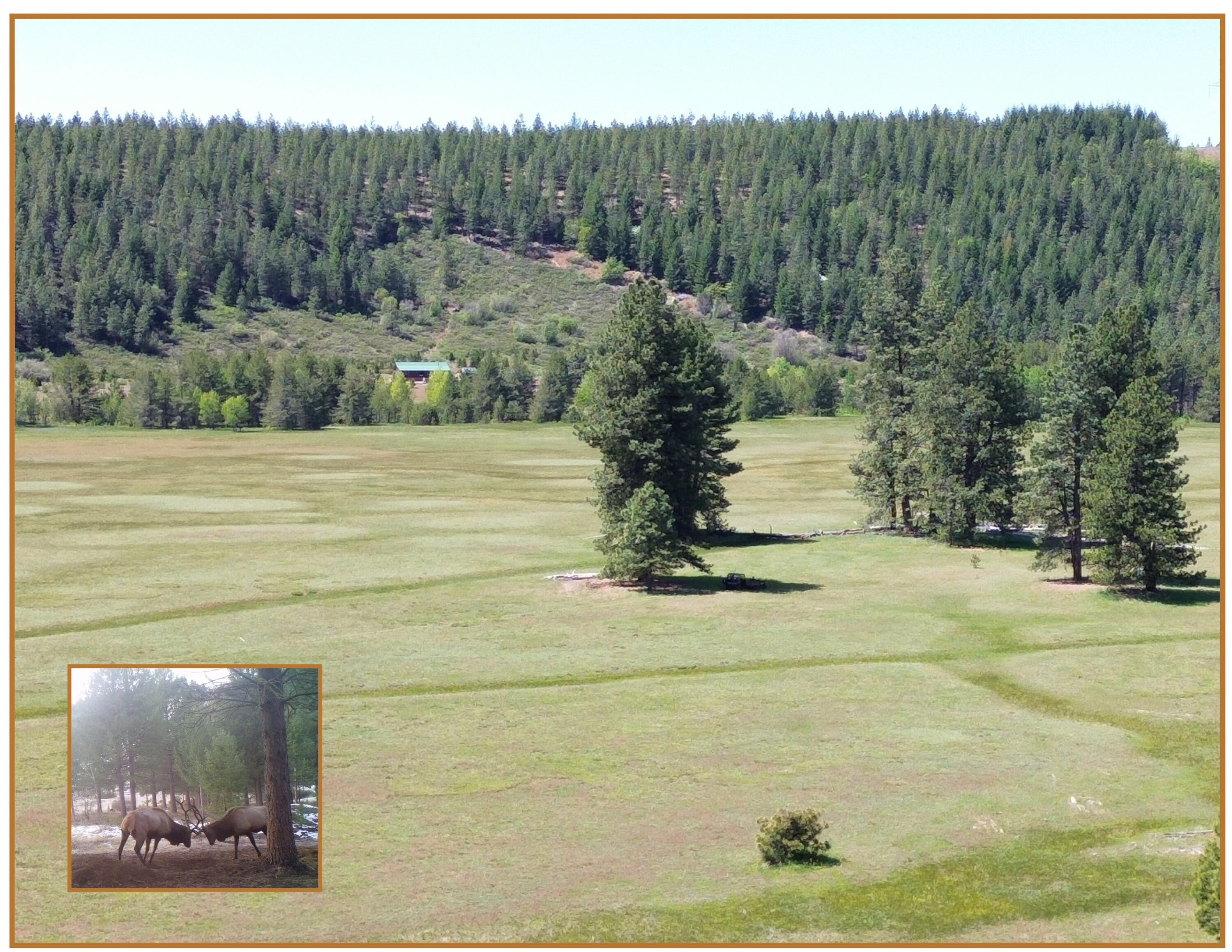 2125 Lava Drive Fall River Mills, CA 96028 - Photo 1 of 66 Elk Meadow Ranch