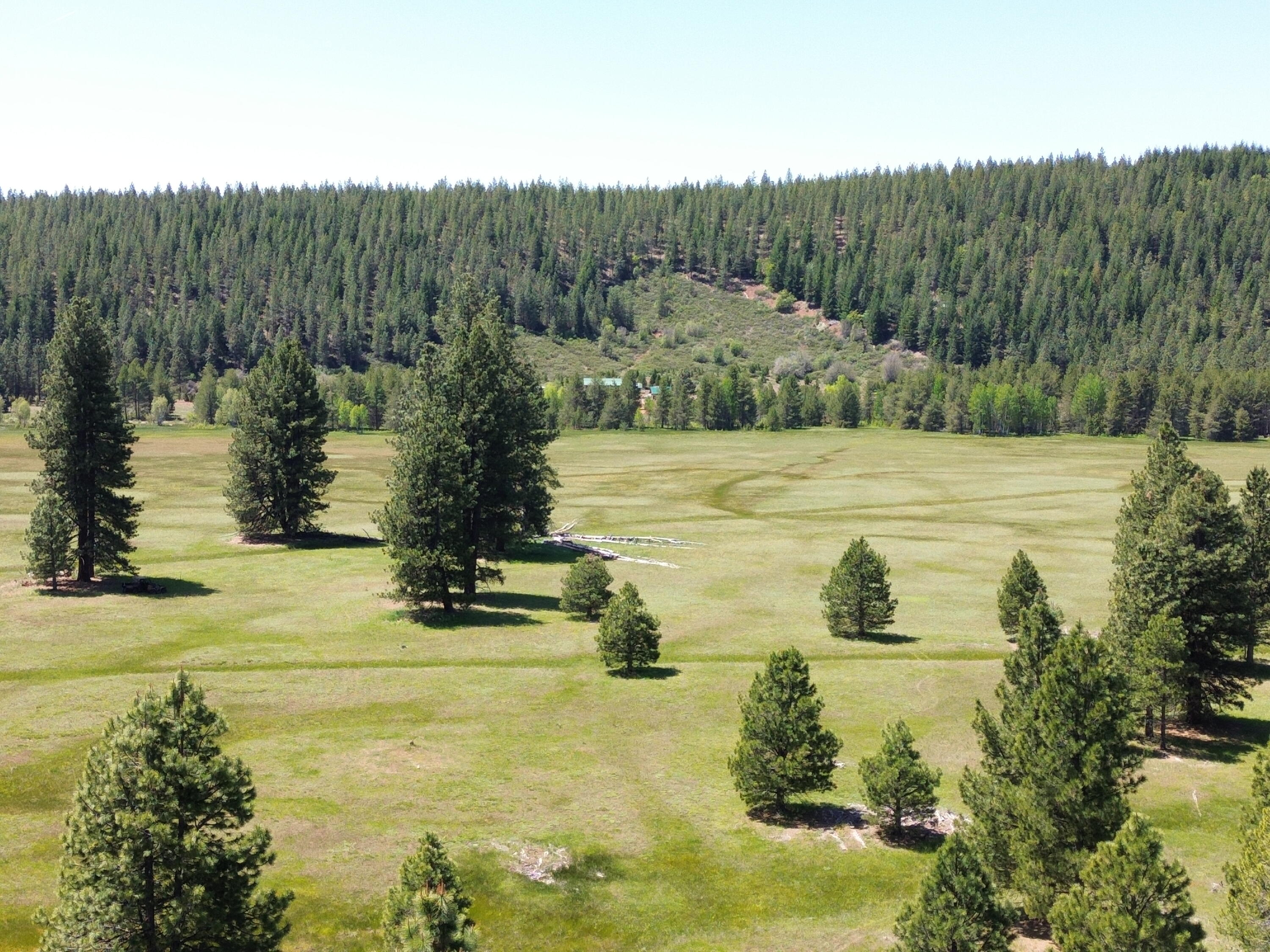 2125 Lava Drive Fall River Mills, CA 96028 - Photo 14 of 66 2