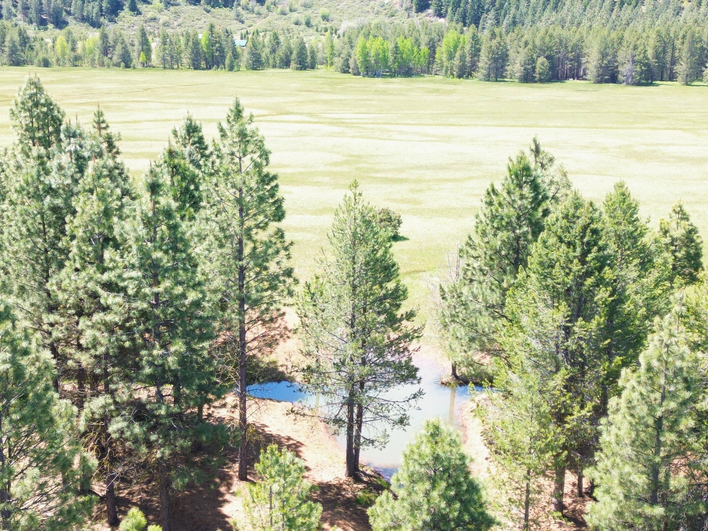 2125 Lava Drive Fall River Mills, CA 96028 - Photo 15 of 66 4