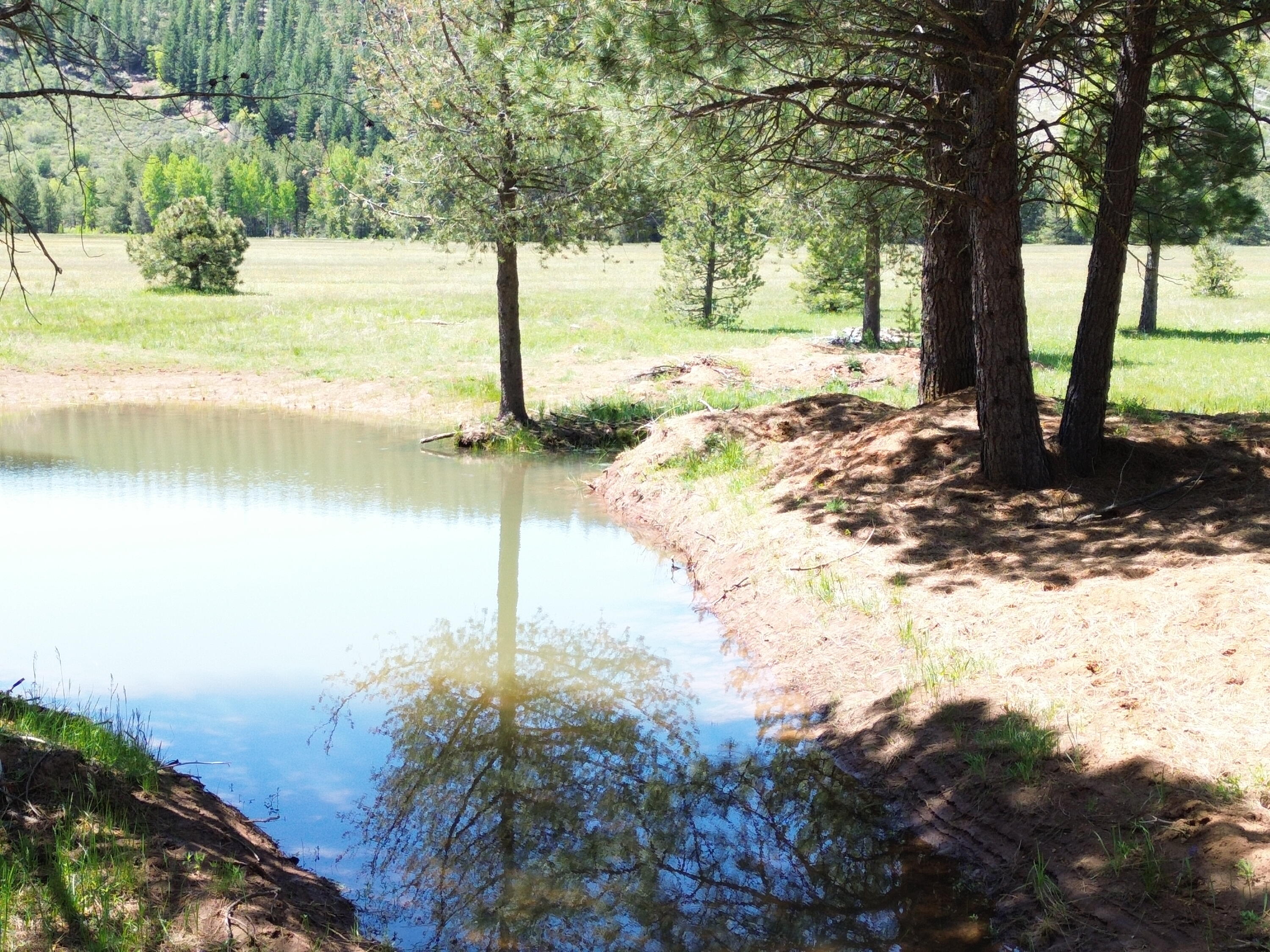 2125 Lava Drive Fall River Mills, CA 96028 - Photo 16 of 66 5