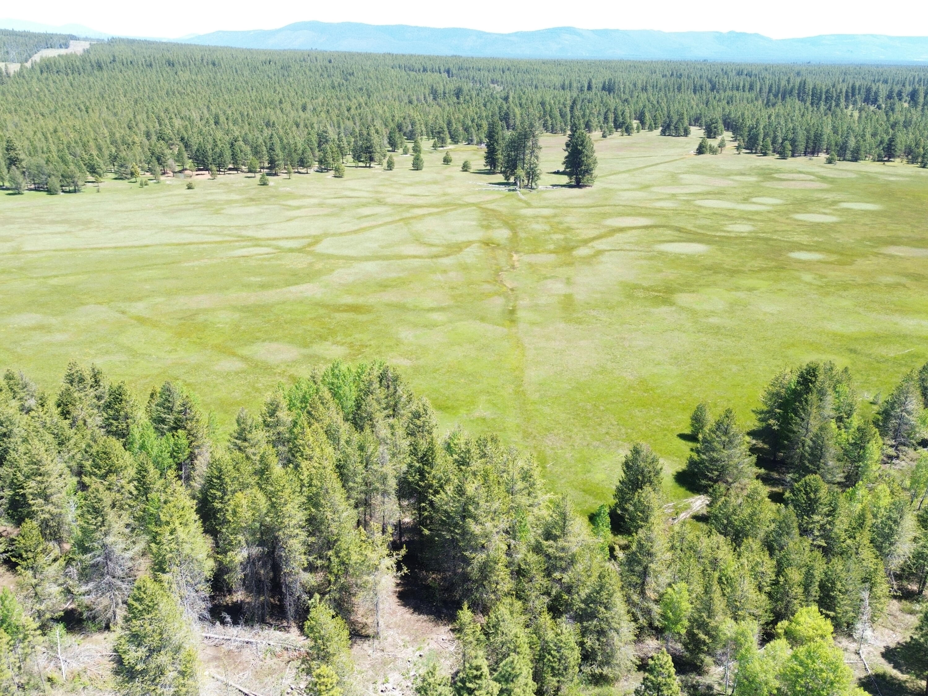 2125 Lava Drive Fall River Mills, CA 96028 - Photo 3 of 66 11