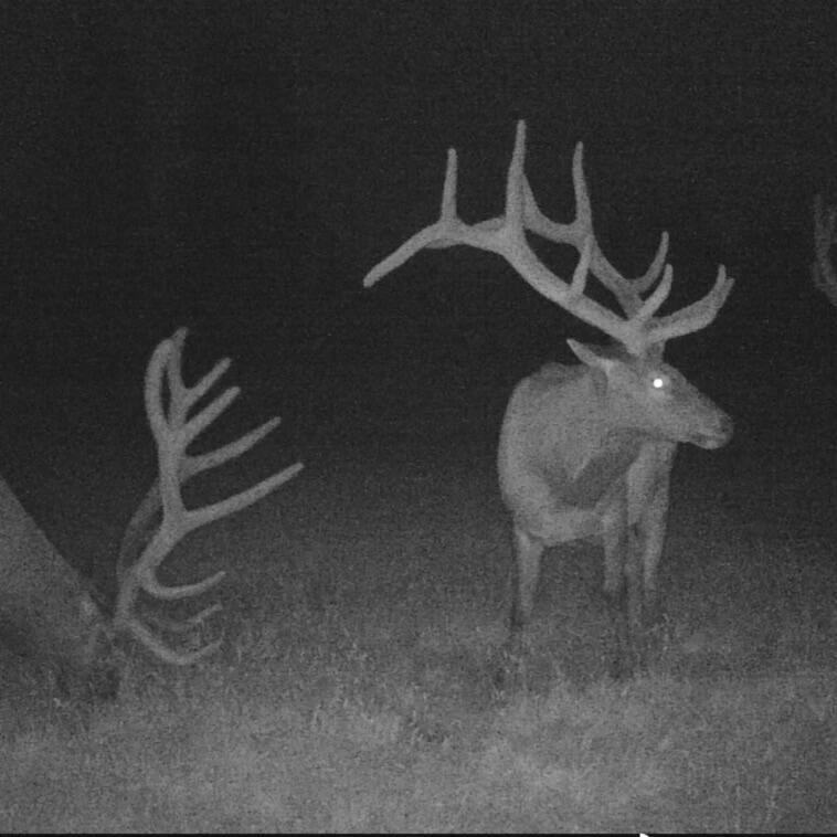 2125 Lava Drive Fall River Mills, CA 96028 - Photo 39 of 66 81