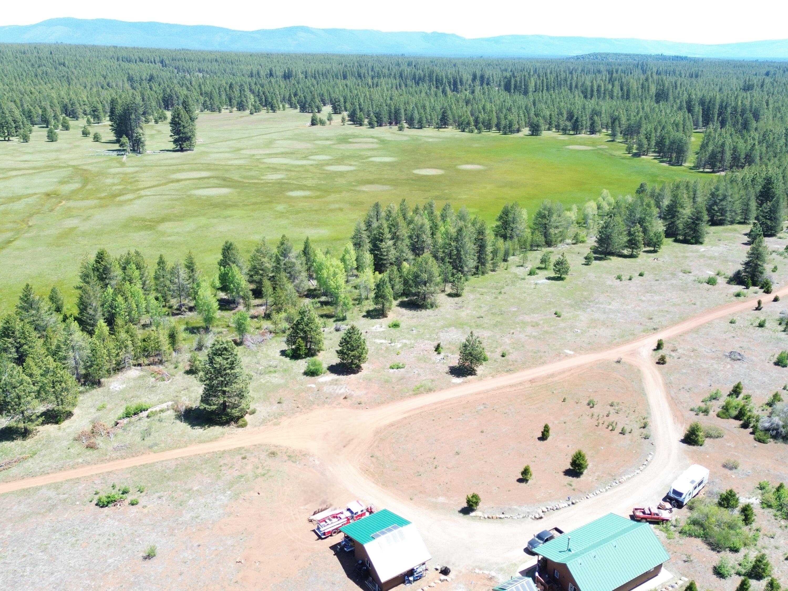 2125 Lava Drive Fall River Mills, CA 96028 - Photo 4 of 66 46