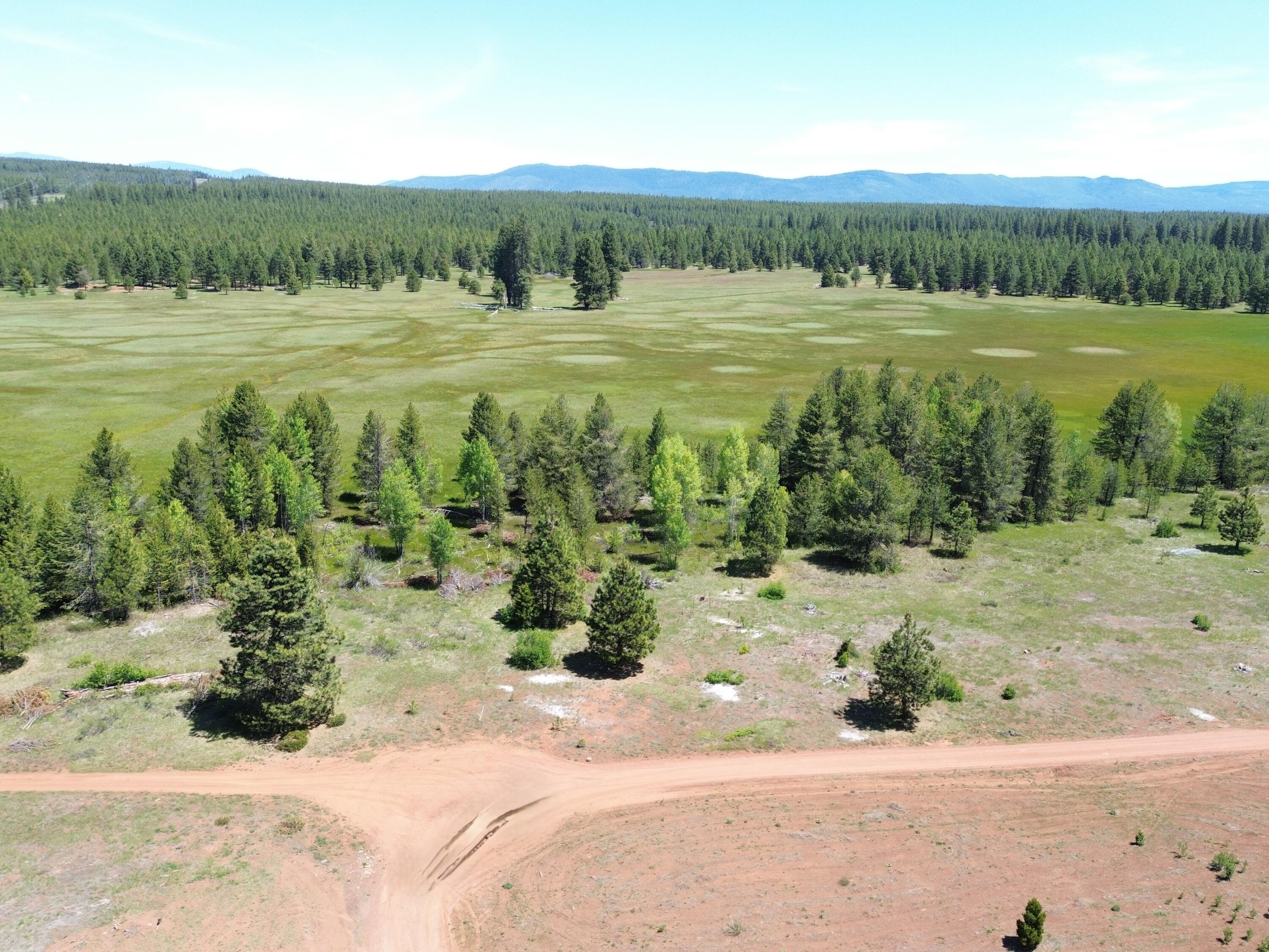 2125 Lava Drive Fall River Mills, CA 96028 - Photo 47 of 66 44