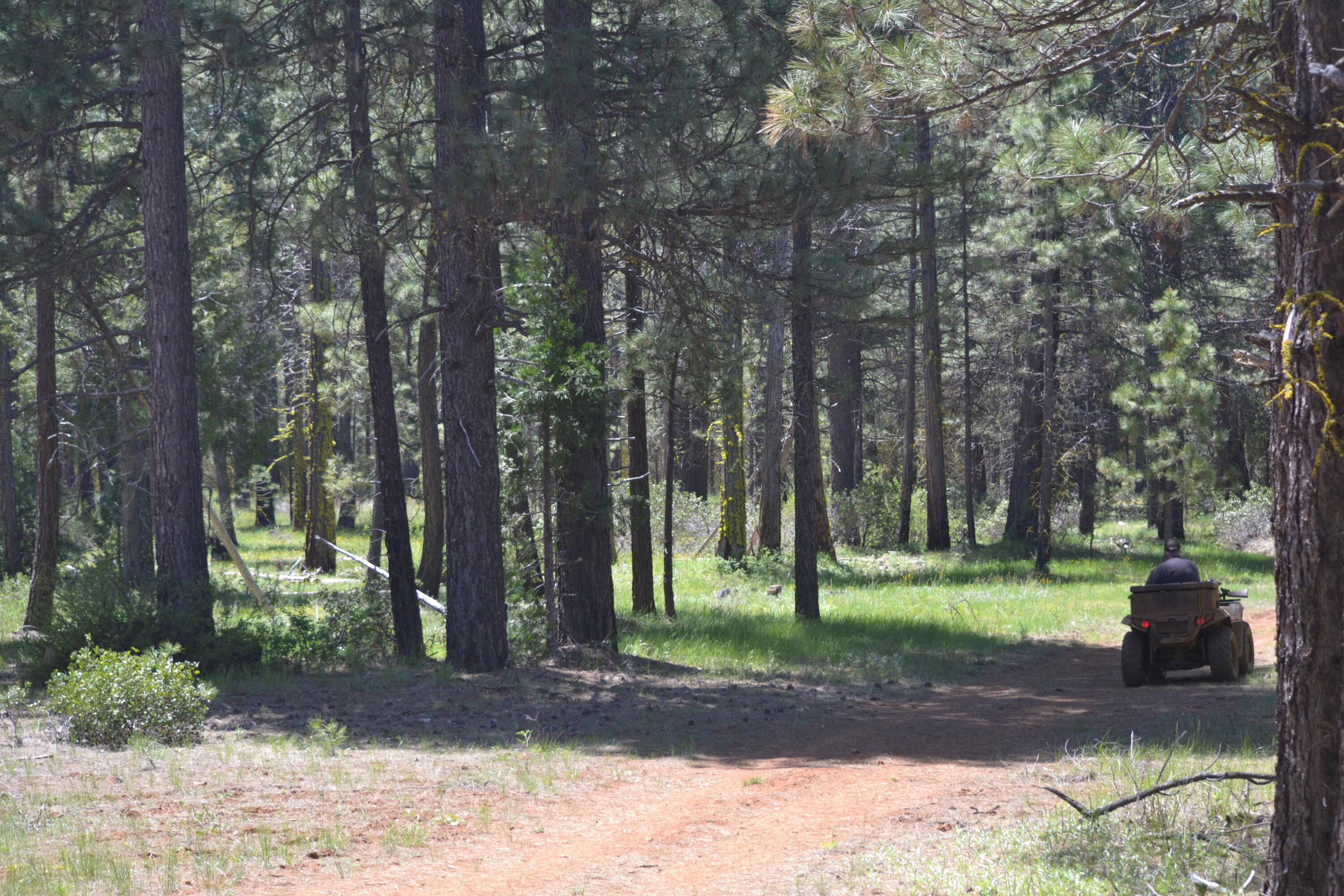 2125 Lava Drive Fall River Mills, CA 96028 - Photo 49 of 66 9