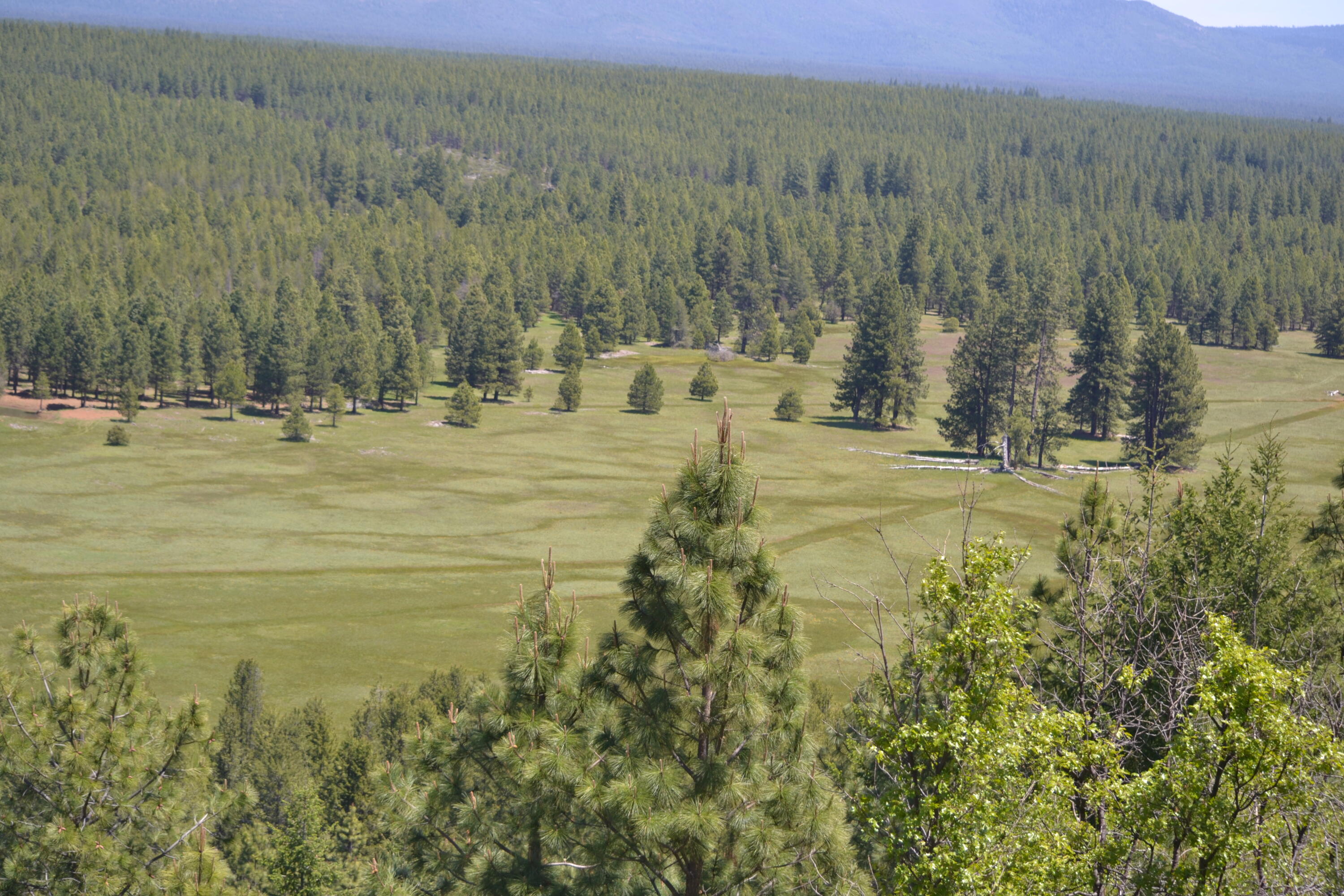 2125 Lava Drive Fall River Mills, CA 96028 - Photo 50 of 66 10