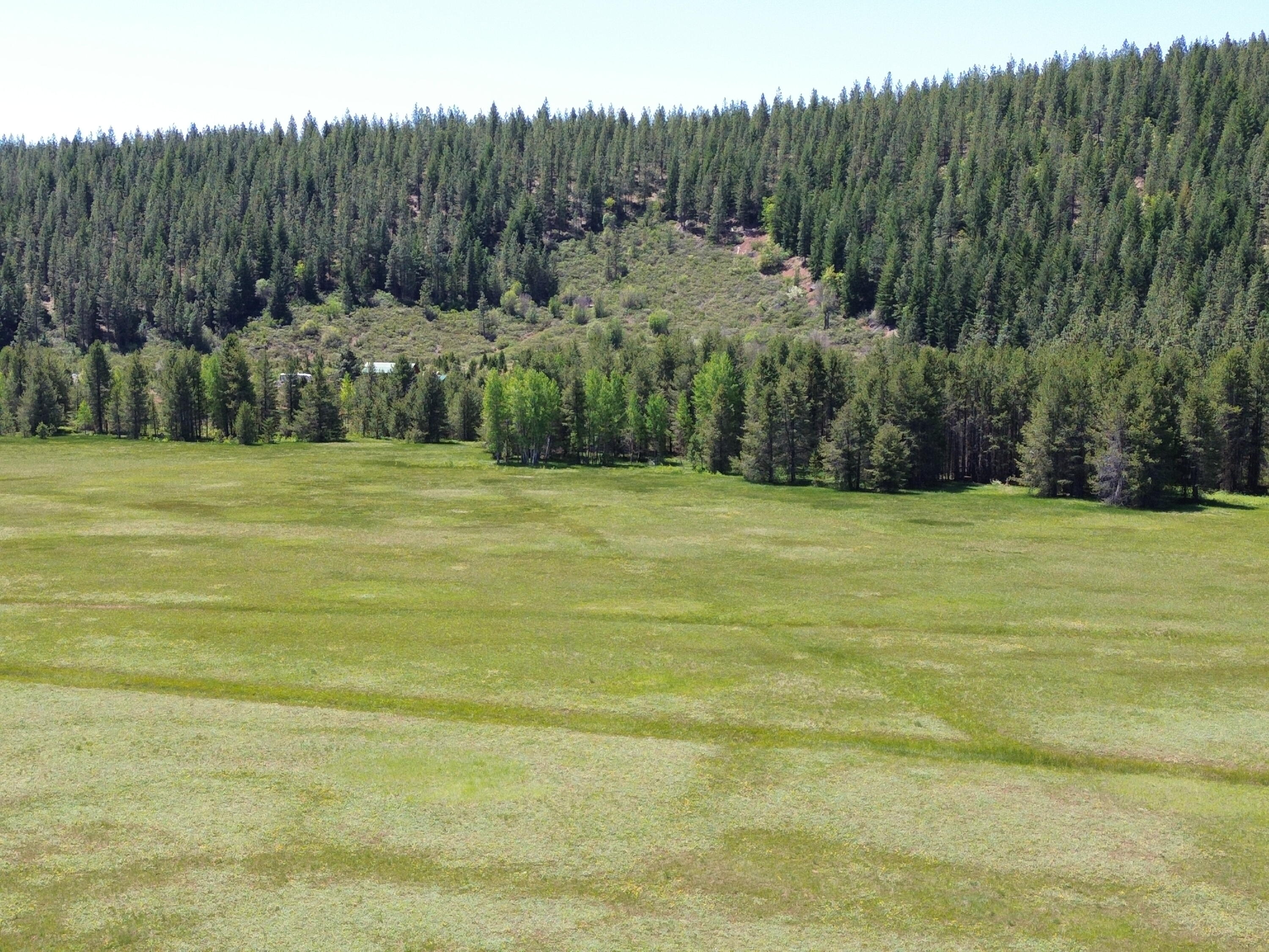 2125 Lava Drive Fall River Mills, CA 96028 - Photo 52 of 66 35