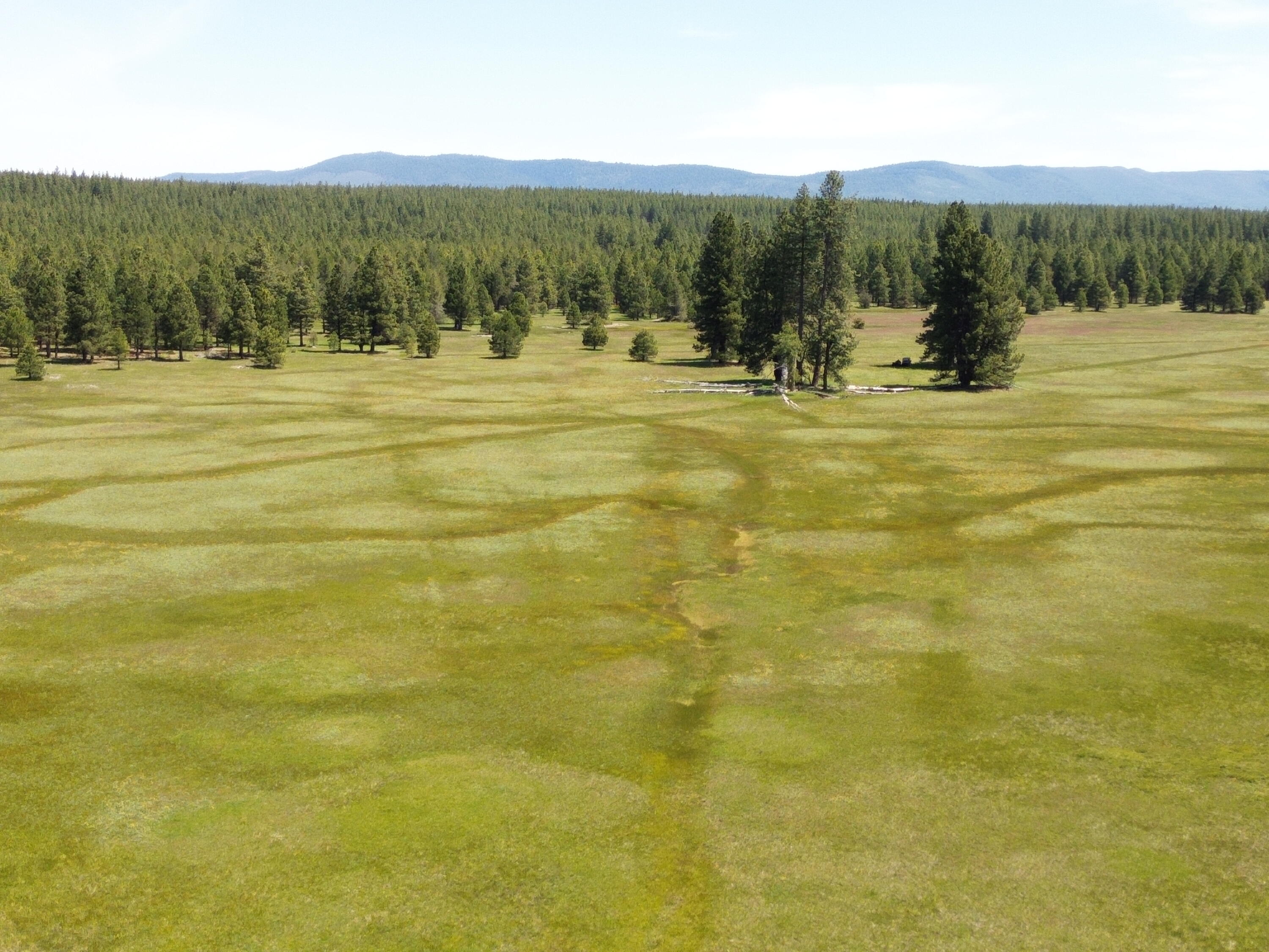 2125 Lava Drive Fall River Mills, CA 96028 - Photo 54 of 66 7