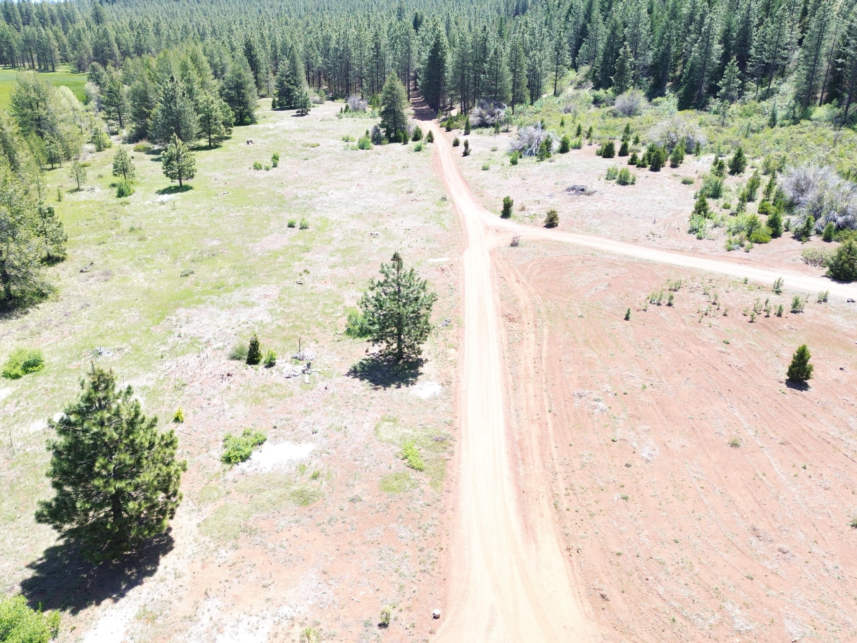 2125 Lava Drive Fall River Mills, CA 96028 - Photo 56 of 66 48