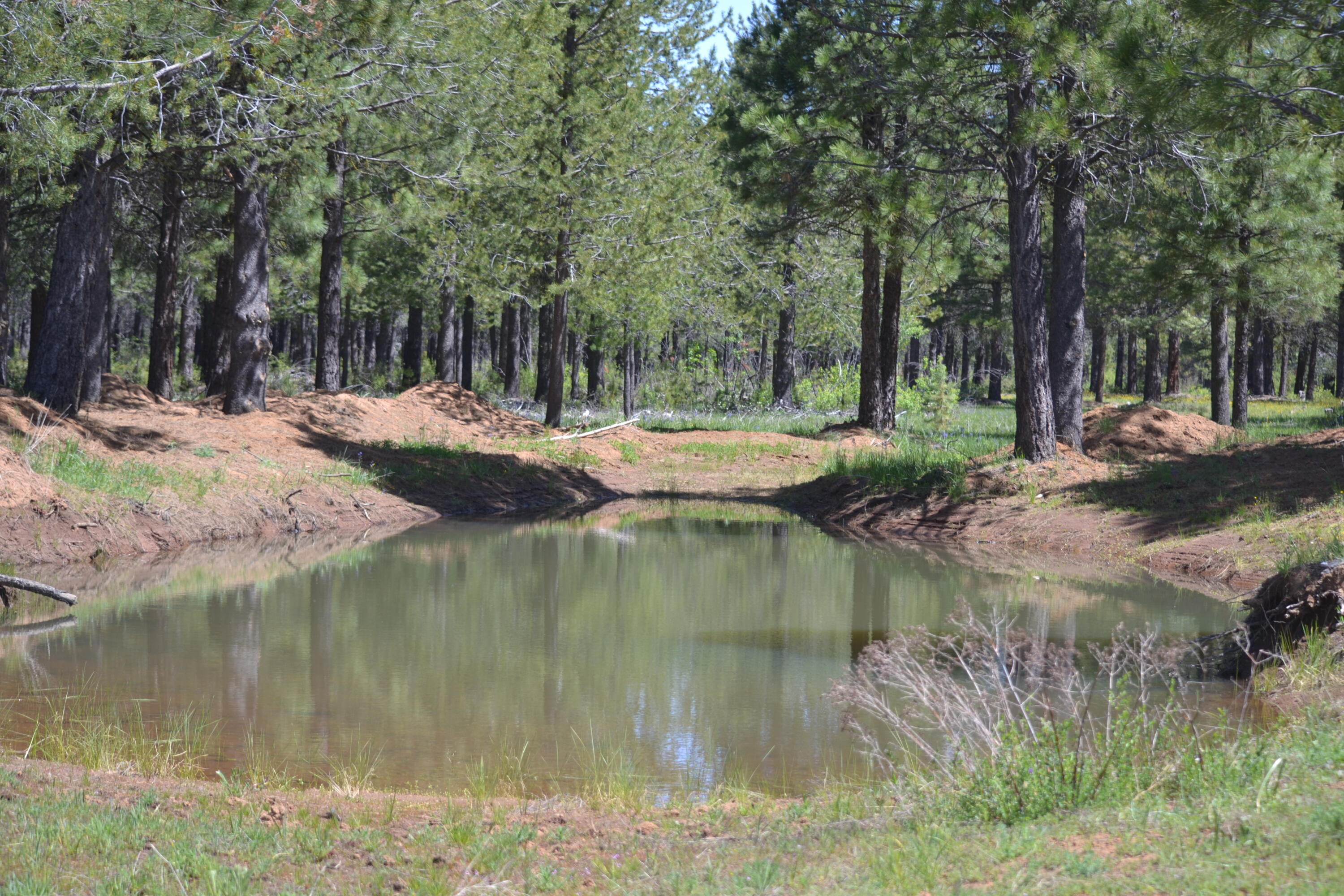 2125 Lava Drive Fall River Mills, CA 96028 - Photo 60 of 66 54