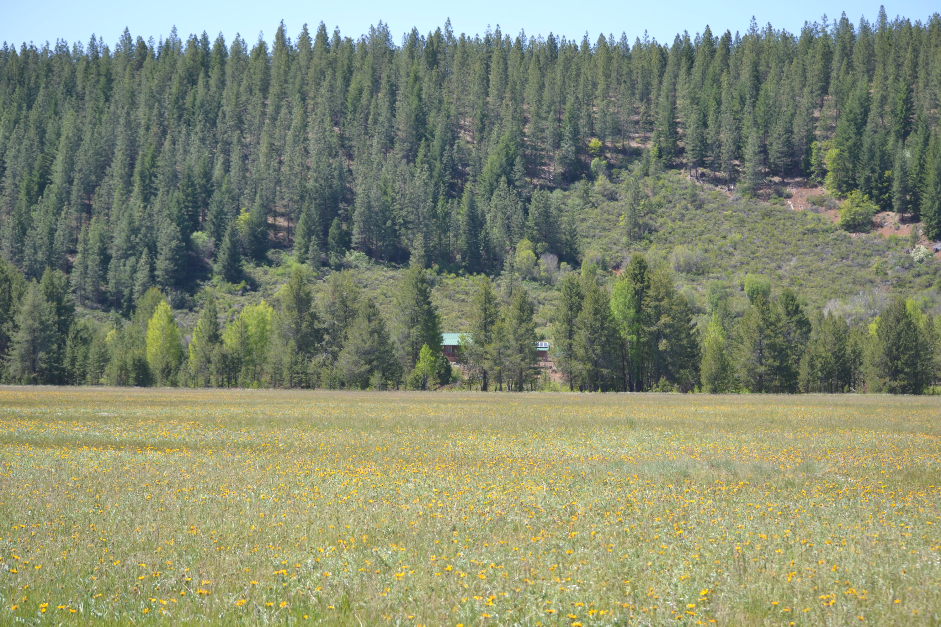 2125 Lava Drive Fall River Mills, CA 96028 - Photo 63 of 66 57