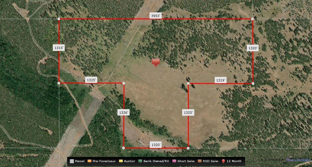 2125 Lava Drive Fall River Mills, CA 96028 - Photo 66 of 66 26