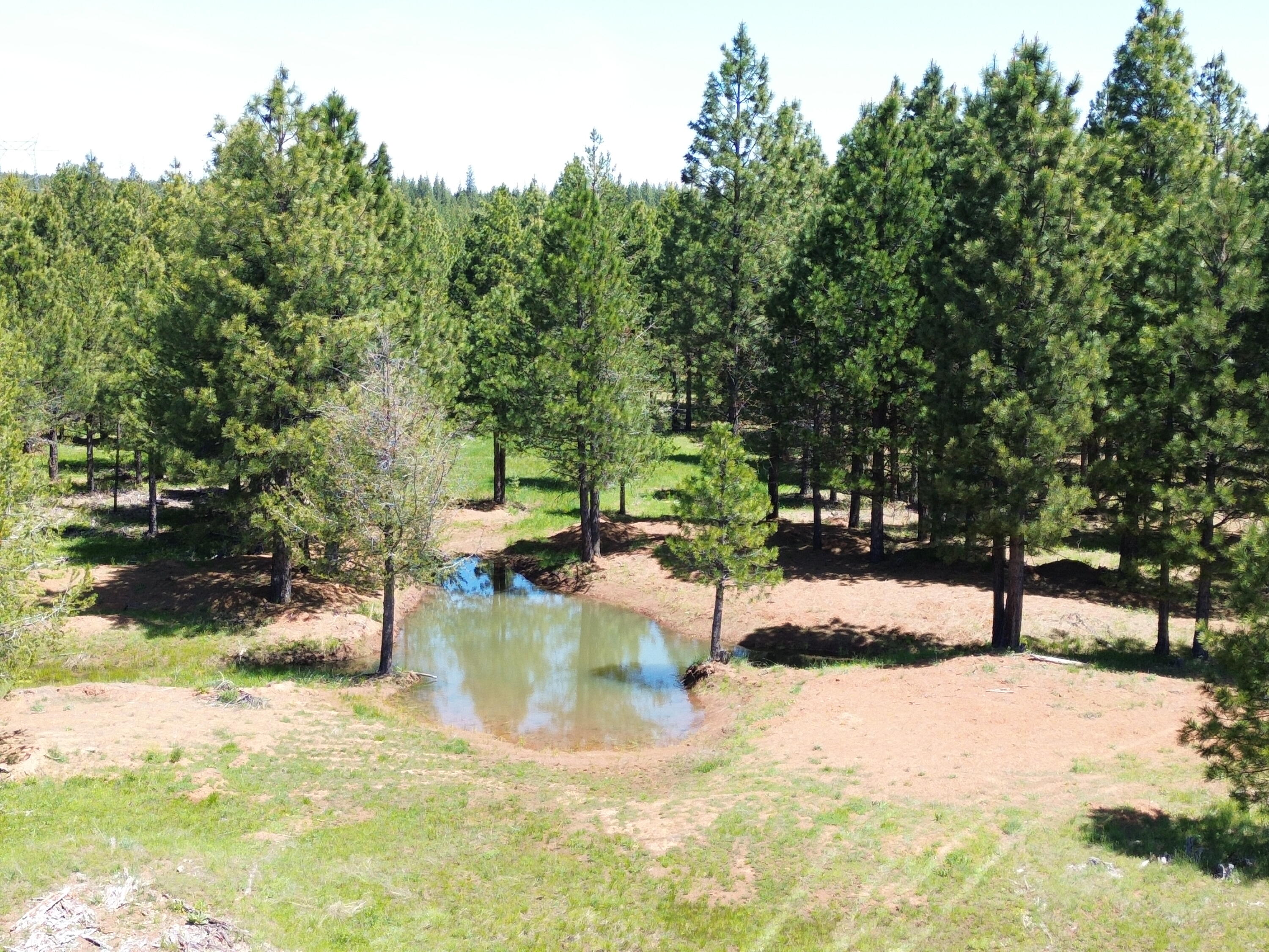 2125 Lava Drive Fall River Mills, CA 96028 - Photo 8 of 66 3