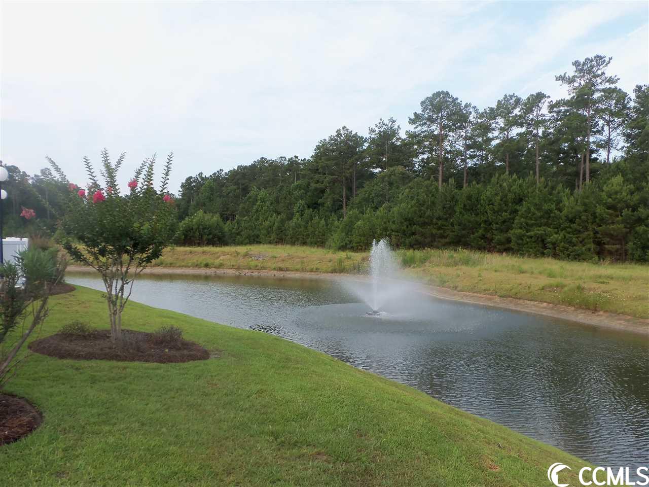 900 Jackline Place, Unit 202 Murrells Inlet, SC 29576 - Photo 21 of 25 Gallery Image 21