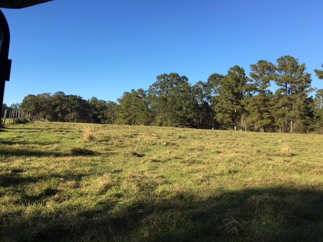 12360 Bromley Road Stapleton, AL 36578 - Photo 18 of 20 Beautiful land